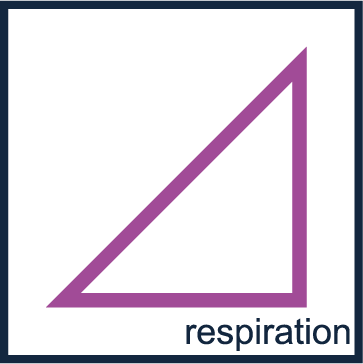 Logo Respiration représentant un triangle posé sur un côté comme une pente à gravir
