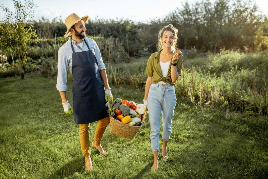 Photo d'un homme et une femme portant un panier en osier rempli de légumes du potager